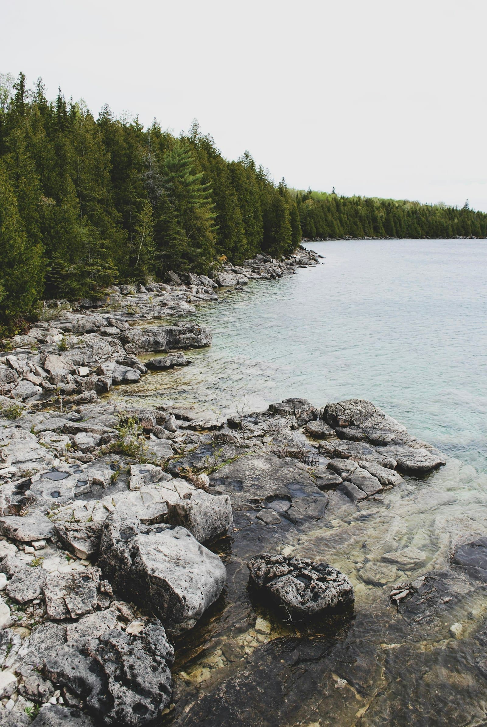 Rocky Georgian Bay shoreline with evergreen forest