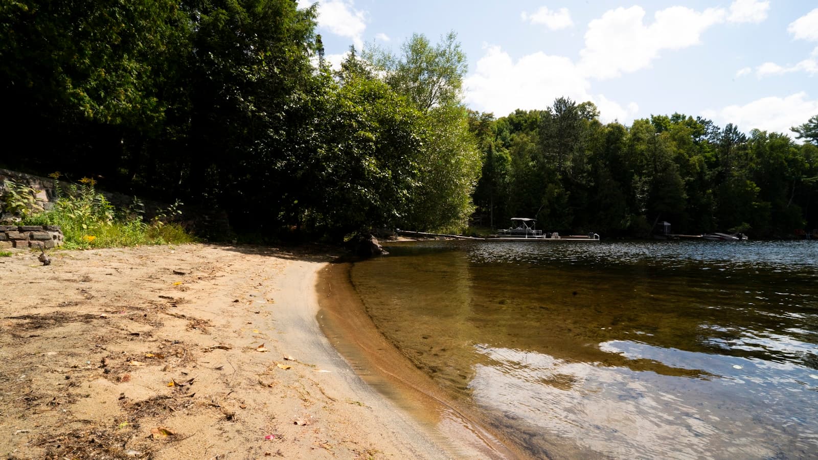 Sandy beach on a calm Ontario lake with forested shoreline
