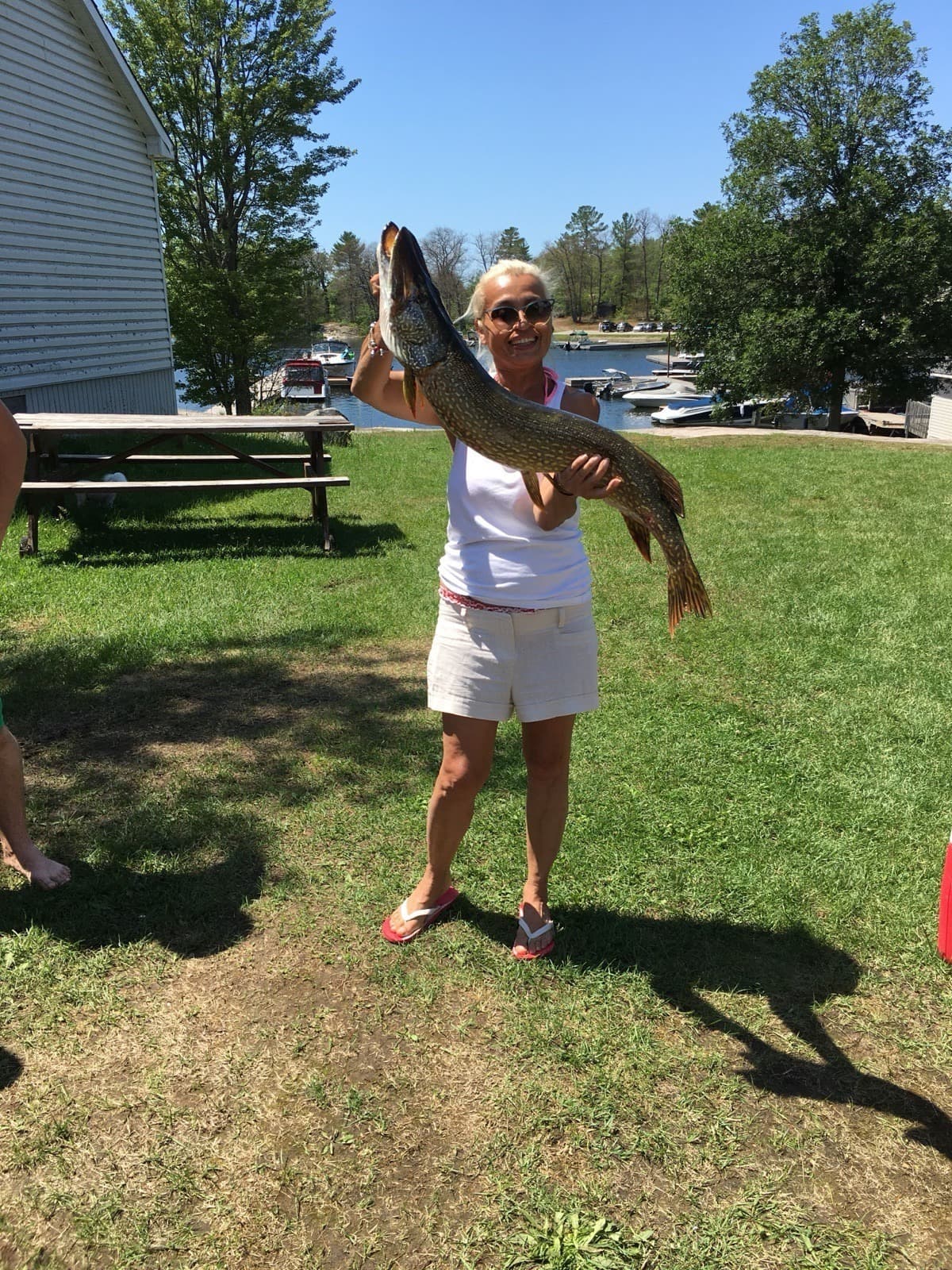 Northern Pike caught at Hall's Cottages, Georgian Bay near Honey Harbour